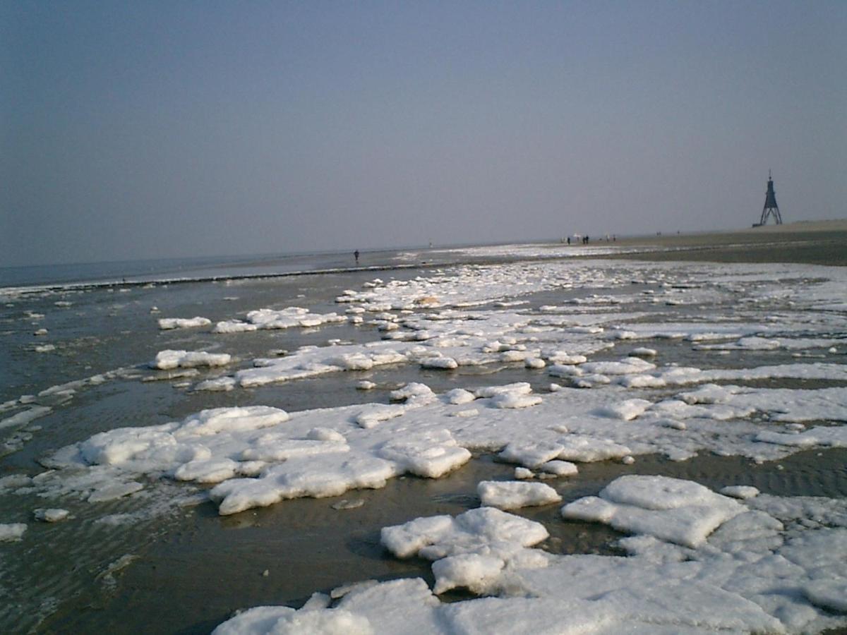 Ferienwohnung Nordsee Cuxhaven Bagian luar foto